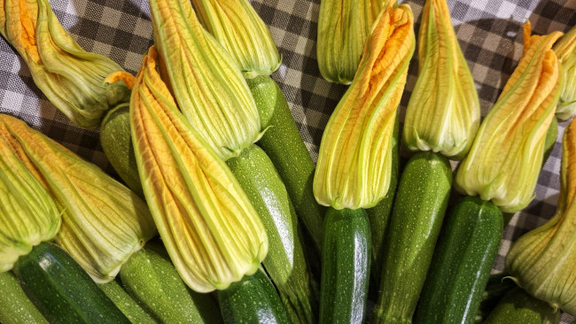 Обои картинки фото еда, кабачки,  цуккини,  патиссоны, цукини