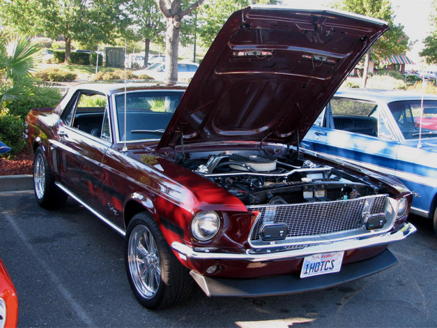 Обои картинки фото автомобили, ford