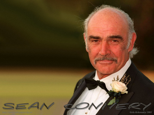 Обои картинки фото мужчины, sean, connery