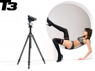 Картинка бренды t3