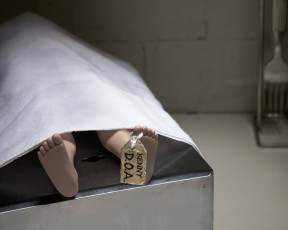 Картинка юмор приколы