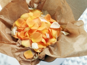 Картинка цветы розы