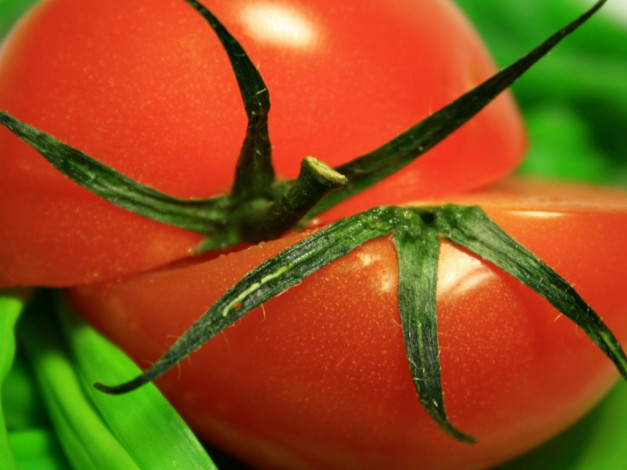 Обои картинки фото еда, помидоры, томаты