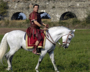 Картинка кино фильмы rome