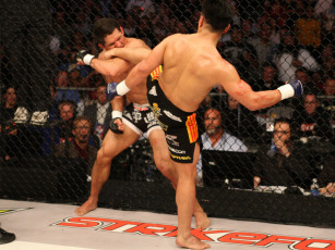 Картинка спорт mix fight