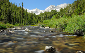 Картинка природа реки озера кусты камни горы деревья река