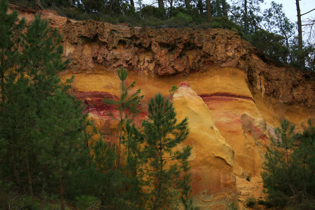 Обои картинки фото природа, другое, скалы, лес, ели