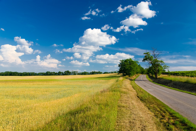 Обои картинки фото природа, дороги, облака, поле, деревья, забор, небо