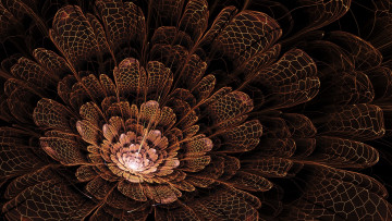 Картинка 3д графика flowers цветы лепестки цветок