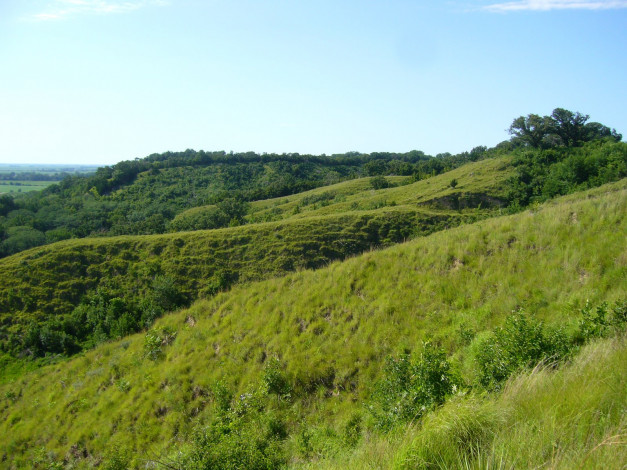 Обои картинки фото природа, луга, трава