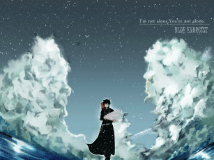 Картинка аниме ao+no+exorcist букет облака небо юкио синий экзорцист арт