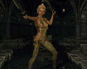 Картинка 3д+графика эльфы+ elves эльфийка фон взгляд