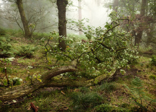 Картинка природа реки озера простор