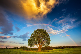 Картинка природа радуга простор