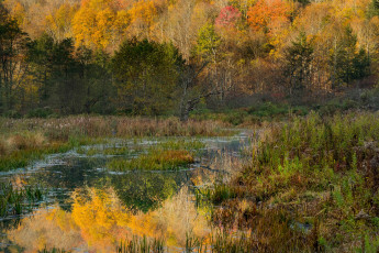 Картинка природа реки озера простор