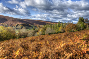 Картинка природа пейзажи простор