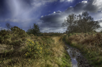 Картинка природа пейзажи простор