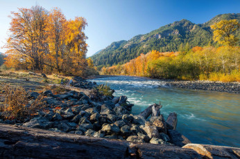 Картинка природа реки озера простор