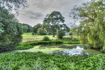 Картинка природа реки озера простор