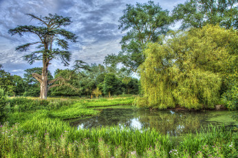 Картинка природа реки озера простор