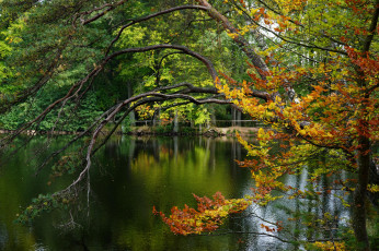 Картинка природа реки озера простор