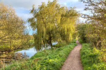 Картинка природа реки озера простор