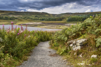 Картинка природа реки озера простор