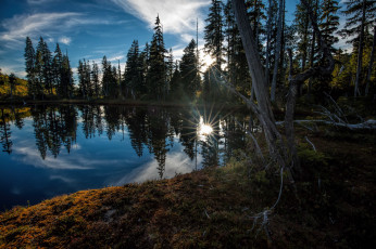 Картинка природа реки озера простор