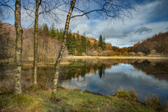 Картинка природа реки озера простор