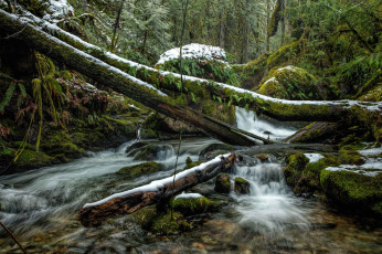 Картинка природа реки озера простор