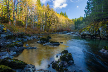 Картинка природа реки озера простор