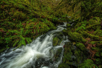 Картинка природа реки озера простор