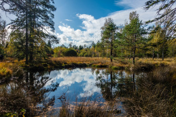 Картинка природа реки озера простор