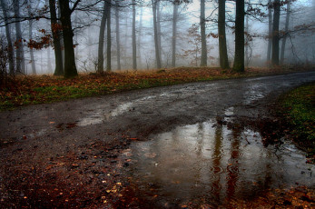 Картинка природа дороги простор