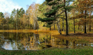 Картинка природа реки озера простор