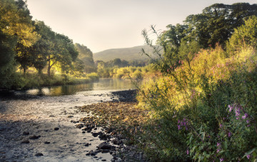 Картинка природа реки озера простор