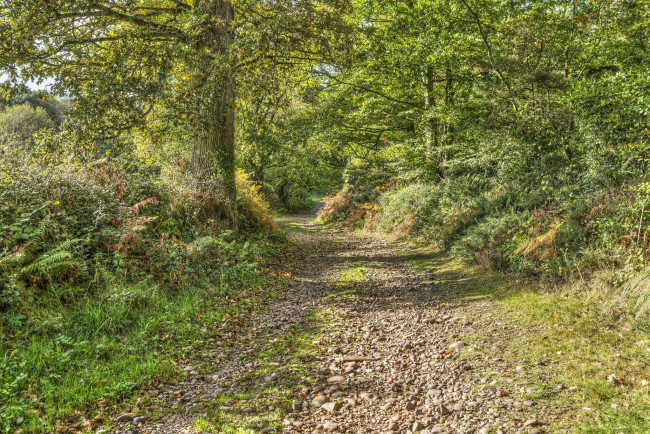 Обои картинки фото природа, дороги, простор