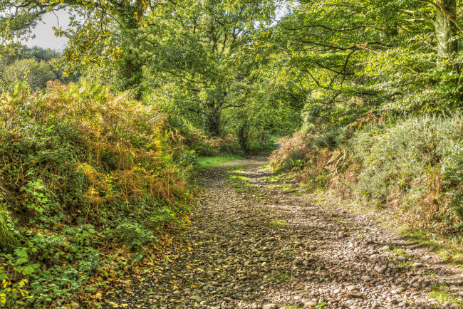 Обои картинки фото природа, дороги, простор