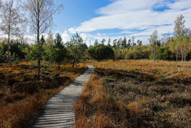 Обои картинки фото природа, дороги, простор