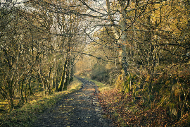 Обои картинки фото природа, дороги, простор