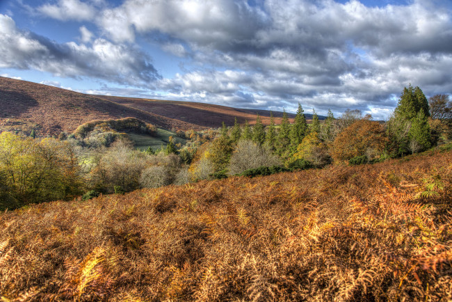 Обои картинки фото природа, пейзажи, простор