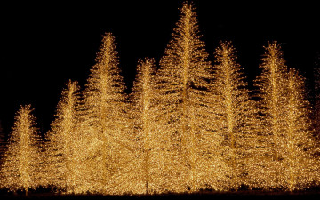 Картинка праздничные Ёлки christmas