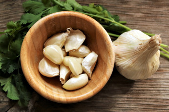 Картинка еда чеснок петрушка зубчики