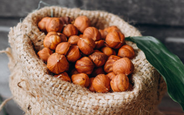 Картинка еда орехи +каштаны +какао-бобы фундук ядра