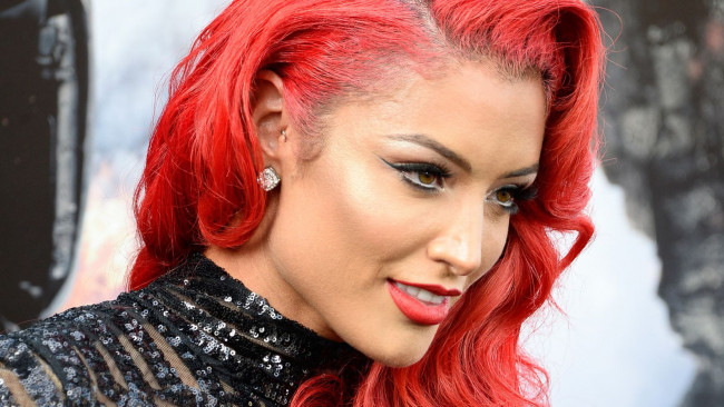 Обои картинки фото eva marie, девушки, natalie eva-marie , natalie marie coyle,  eva marie, eva, marie, портрет, лицо, девушка, модель, рестлинг, красноволосая, рыжеволосая, красотка, красавица, флирт, стройная, фигура, сексуальная, секси, поза, взгляд, макияж