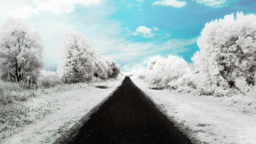 Картинка разное компьютерный+дизайн дорога деревья кусты небо