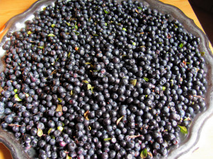 Картинка еда голубика +черника лесная черника много