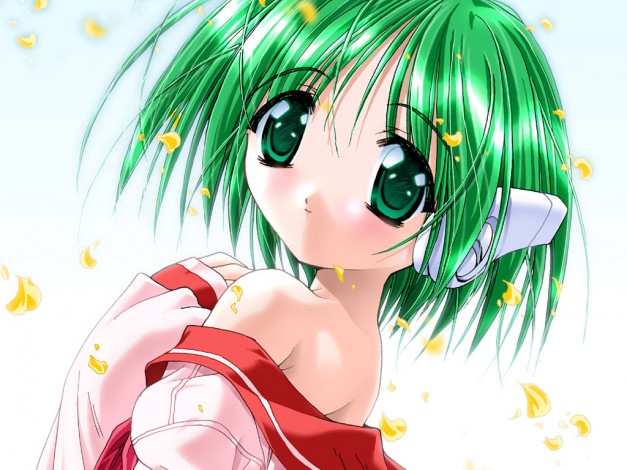 Обои картинки фото аниме, to, heart