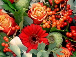 Картинка цветы разные вместе