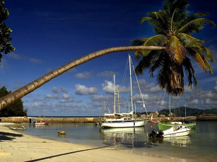 Картинка корабли Яхты